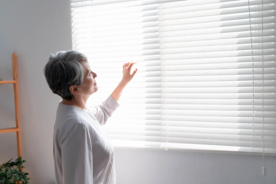 Affordable Custom Window Blinds in Mission, TX