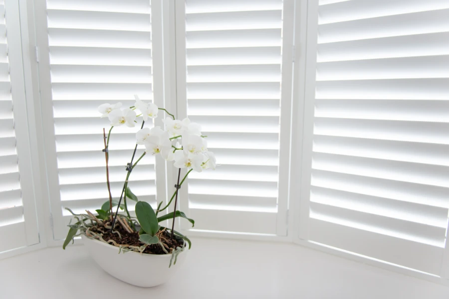 How Plantation Shutters Improve Home Security in Mission, TX